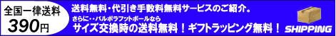 �����S���ꗥ390�~�@���������E������萔�������T�[�r�X�̂��Љ�