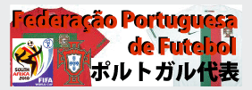�|���g�K����\�J�e�S���[�E���[���h�J�b�v2010